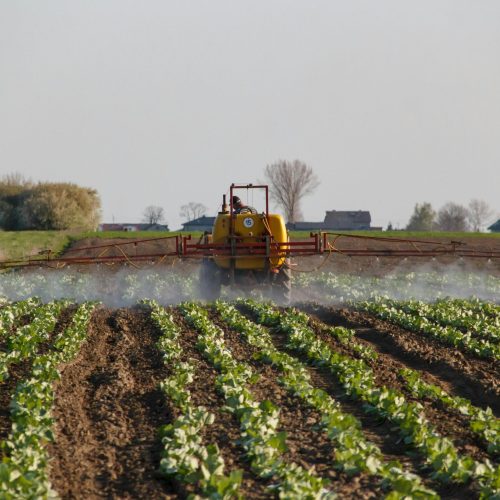 Tractor spraying a vibrant farm field. Capturing modern agriculture in action.